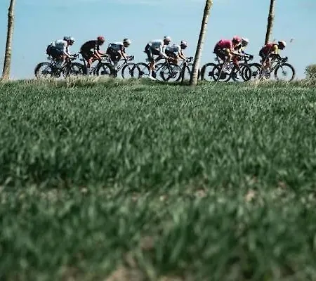 Appartement Maison Elouise